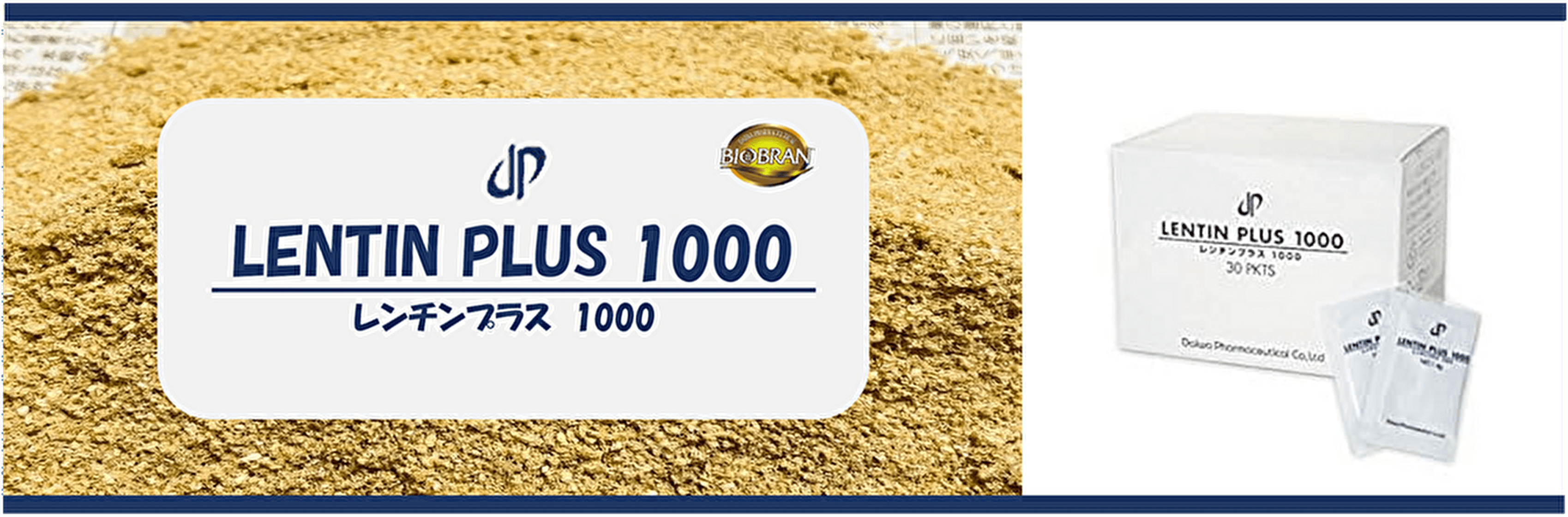 レンチンプラス1000